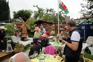 Wales Bild 50
